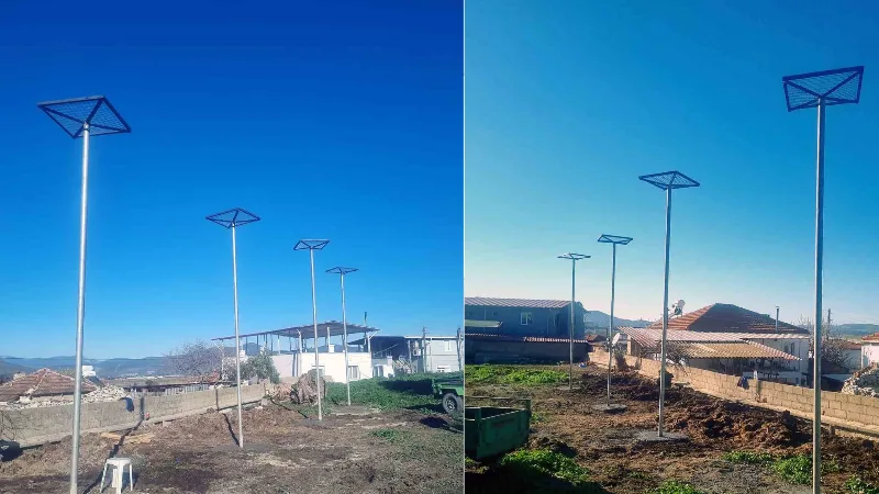 Muğla'nın Milas ilçesinde, leyleklerin güvenli yuva alanları oluşturan Büyükşehir Belediyesi,