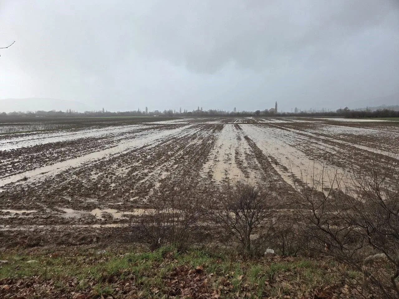 Menteşe İlçe Tarım ve Orman Müdürlüğü ekipleri, kuvvetli yağışların ardından