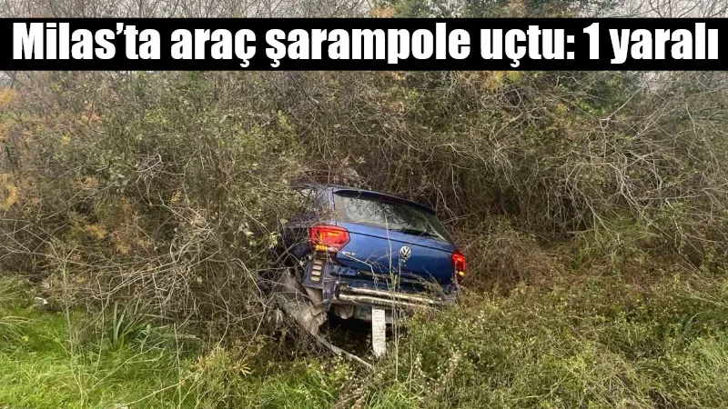 Milas-Bodrum karayolunda direksiyon hakimiyeti kaybolan bir aracın şarampole yuvarlanması sonucu