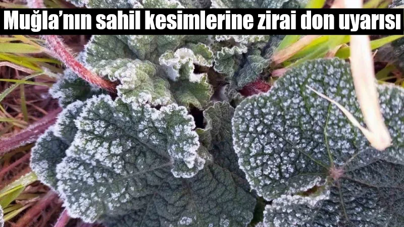 Meteoroloji Genel Müdürlüğü, Muğla’nın sahil kesimlerinde beklenen hafif zirai don