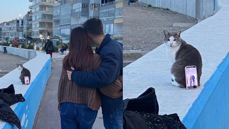 Bursa’nın Mudanya ilçesinde sahilde fotoğraf çektirmek isteyen bir çift, yardım