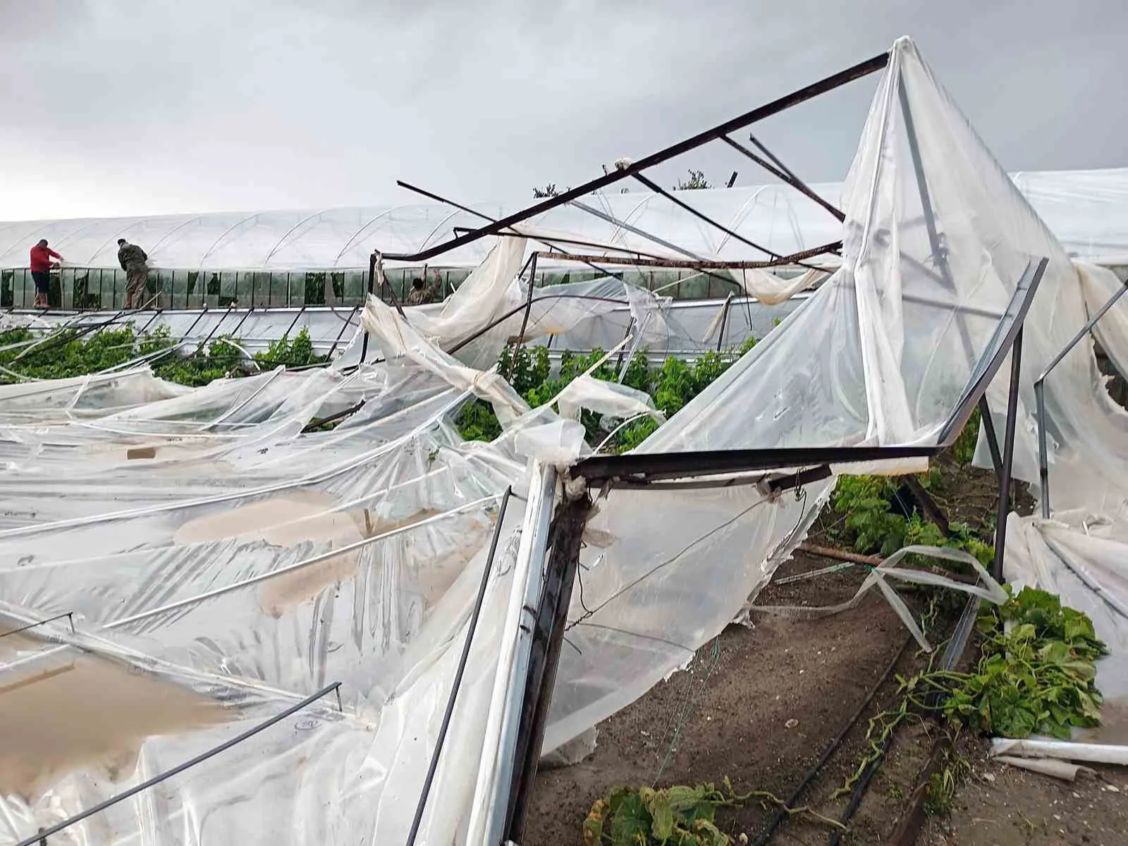 Muğla İl Tarım ve Orman Müdürü Seyfettin Baydar, Seydikemer’de yaşanan