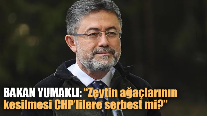 İbrahim Yumaklı, Muğla’nın Milas ilçesinde zeytin ağaçlarının kesildiği iddiaları ve