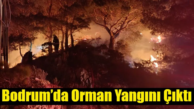 Bodrum’un Yalıkavak Mahallesi Değirmenler Tepe mevkiinde orman yangını çıktı. Yangın