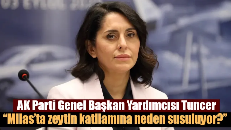 Milas’ta zeytin ağaçlarının kesilmesiyle ilgili tartışmalar sürerken, Sevilay Tuncer CHP’ye