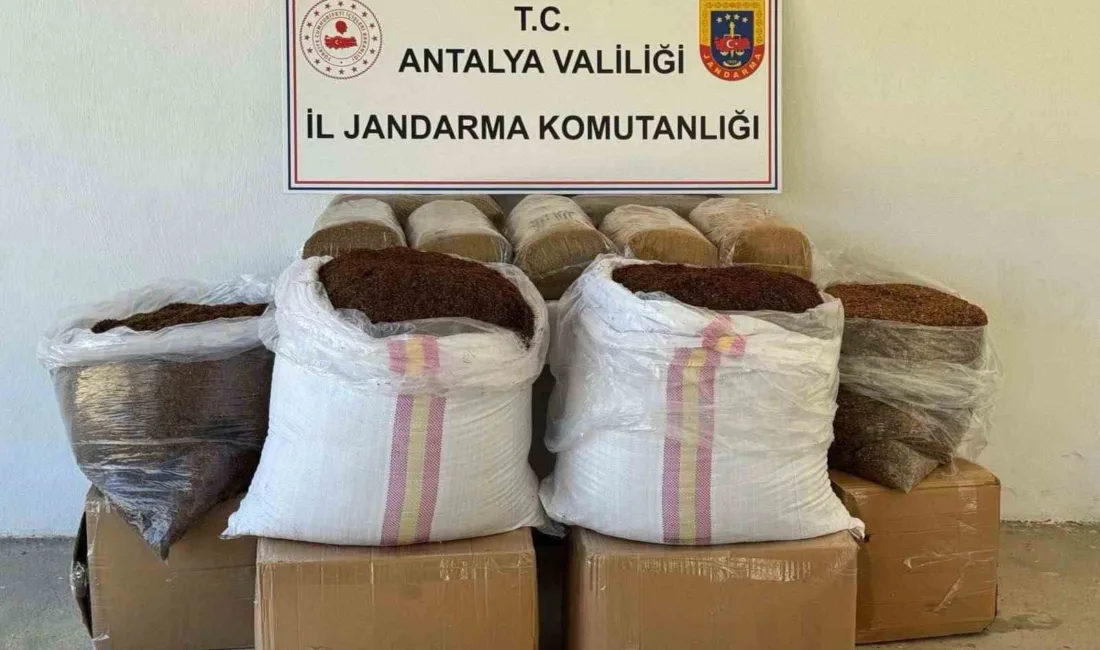 Antalya Gazipaşa'da jandarma ekiplerince durdurulan bir yolcu otobüsünde 500 kilogram