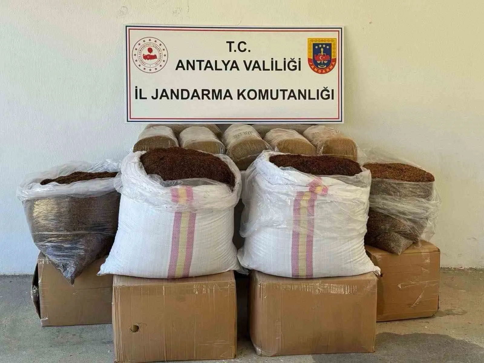Antalya Gazipaşa'da jandarma ekiplerince durdurulan bir yolcu otobüsünde 500 kilogram