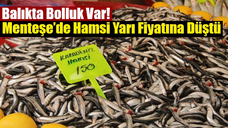 Muğla’nın Menteşe ilçesinde balık tezgahında hamsi fiyatları düşüşe geçti. Geçen