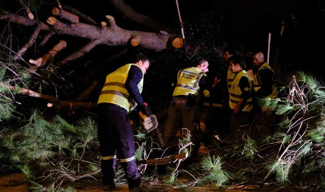 Bodrum'da dün sabahtan bu yana etkili olan şiddetini artıran fırtınaya