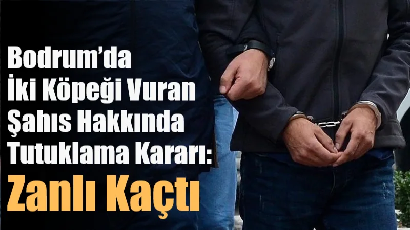 Bodrum’un Güvercinlik Mahallesi’nde iki köpeği silahla öldüren şahıs hakkında savcılığın