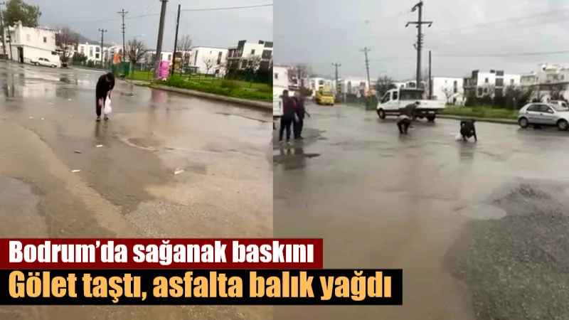 Bodrum Mumcular'da şiddetli yağış nedeniyle taşan park göletinden yola savrulan