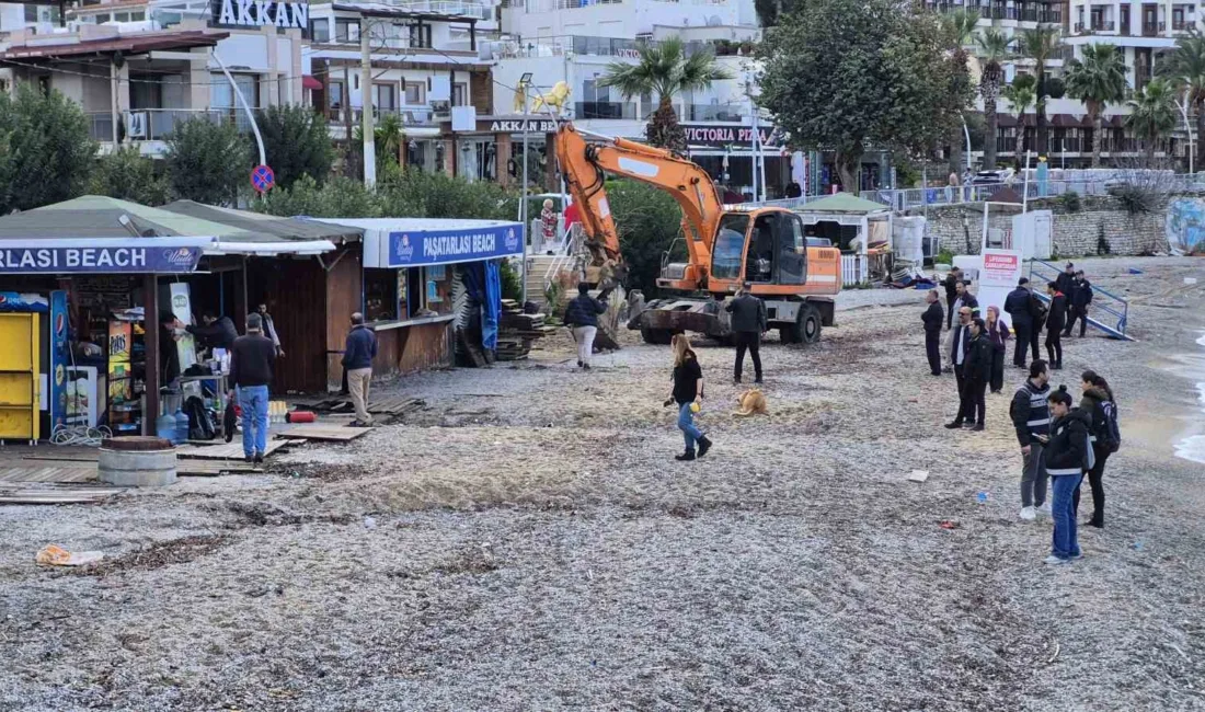 Muğla’nın Bodrum ilçesindeki Paşatarlası sahilinde, çeşitli kurumların iş birliğiyle kıyıdaki