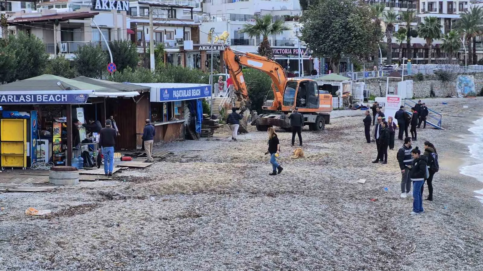 Muğla’nın Bodrum ilçesindeki Paşatarlası sahilinde, çeşitli kurumların iş birliğiyle kıyıdaki