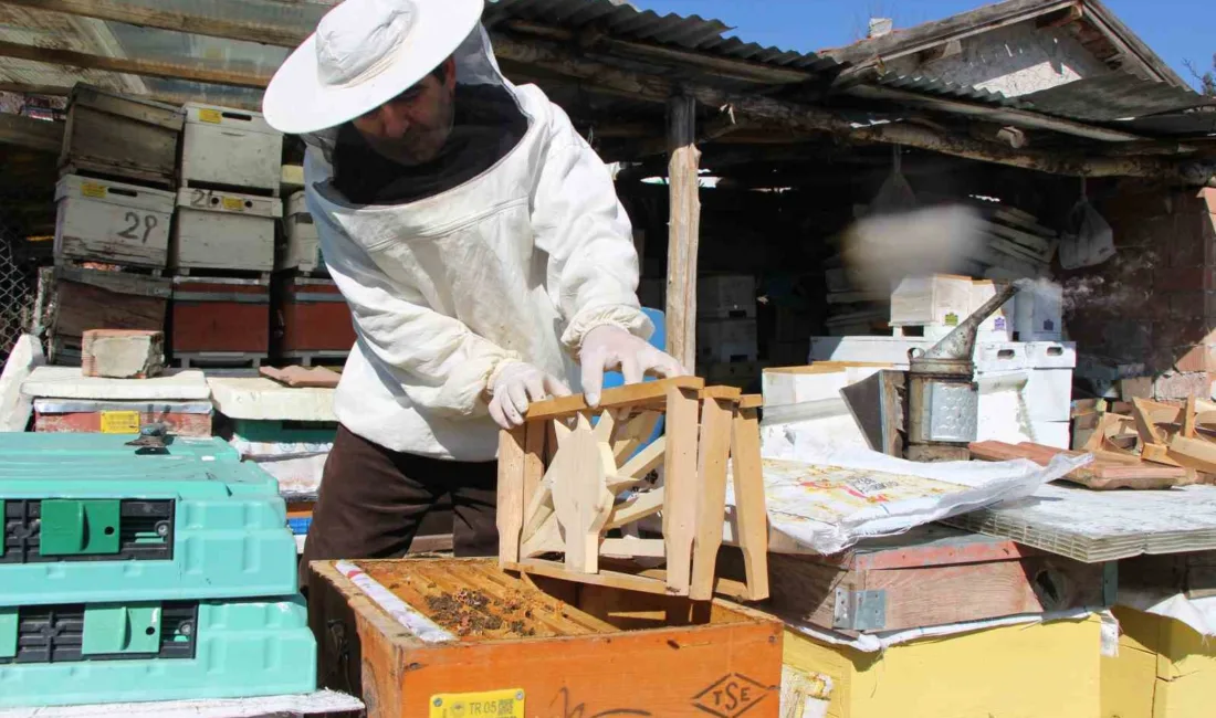 Amasyalı arıcı Hüseyin Çalışkan, siyasete "bal tadı" katmak için kolları