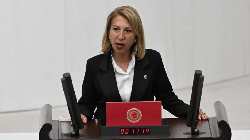 CHP Muğla Milletvekili ve Parti Meclisi Üyesi Süreyya Öneş Derici,