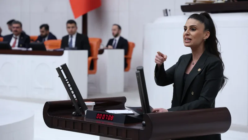 CHP Muğla Milletvekili Gizem Özcan, Muğla’nın merkezi bütçeye 68,1 milyar