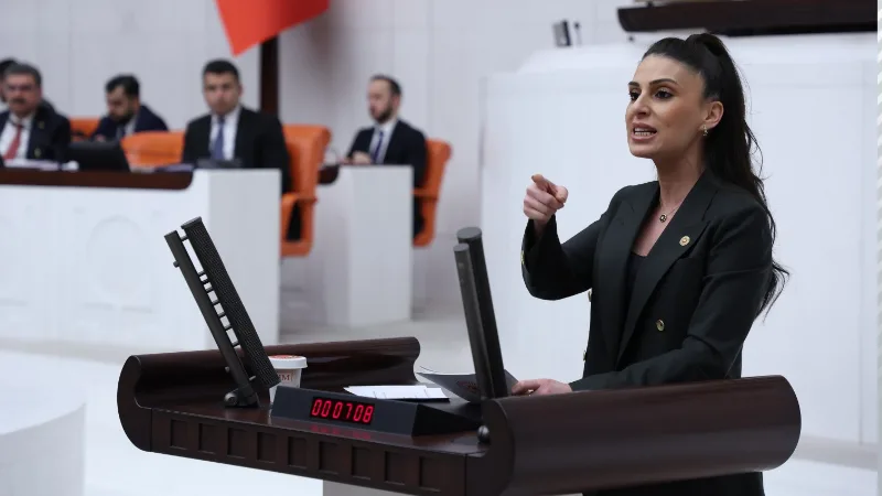 CHP Muğla Milletvekili Gizem Özcan, AK Parti Muğla Milletvekili Kadem