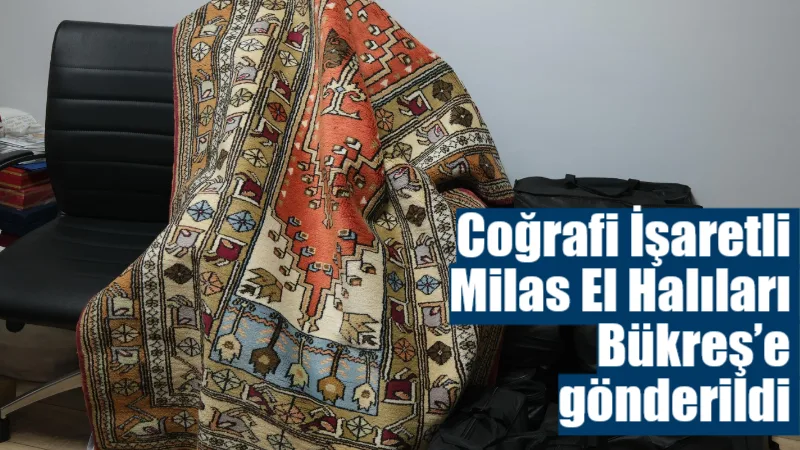 Milas Ticaret ve Sanayi Odası (MİTSO) öncülüğünde yürütülen çalışmalar kapsamında,