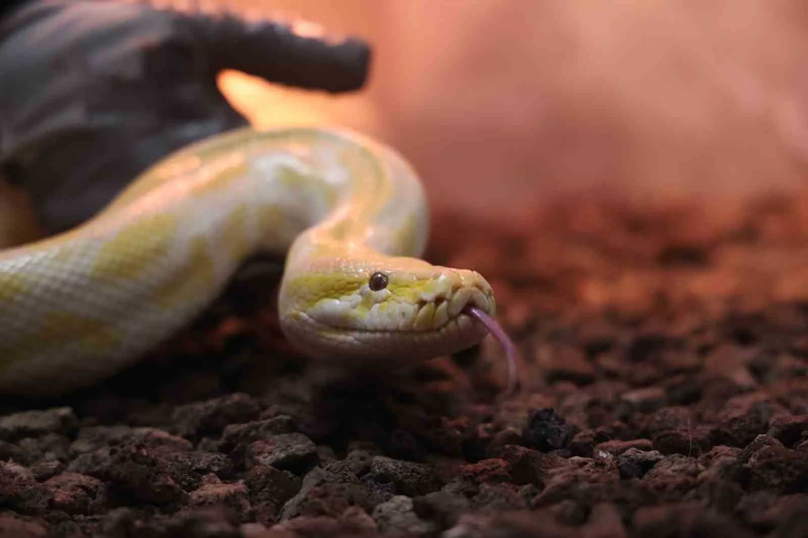 Denizli'de bir alışveriş merkezindeki gösteride izinsiz kullanıldığı gerekçesiyle el konulan