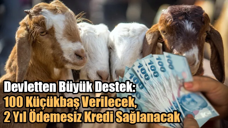  “Kırsalda Bereket, Küçükbaşa Destek” projesi kapsamında üreticilere 100 küçükbaş hayvan
