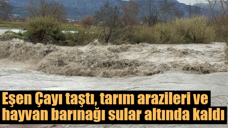 Seydikemer’de şiddetli yağış nedeniyle Eşen Çayı taşarak tarım arazileri ve