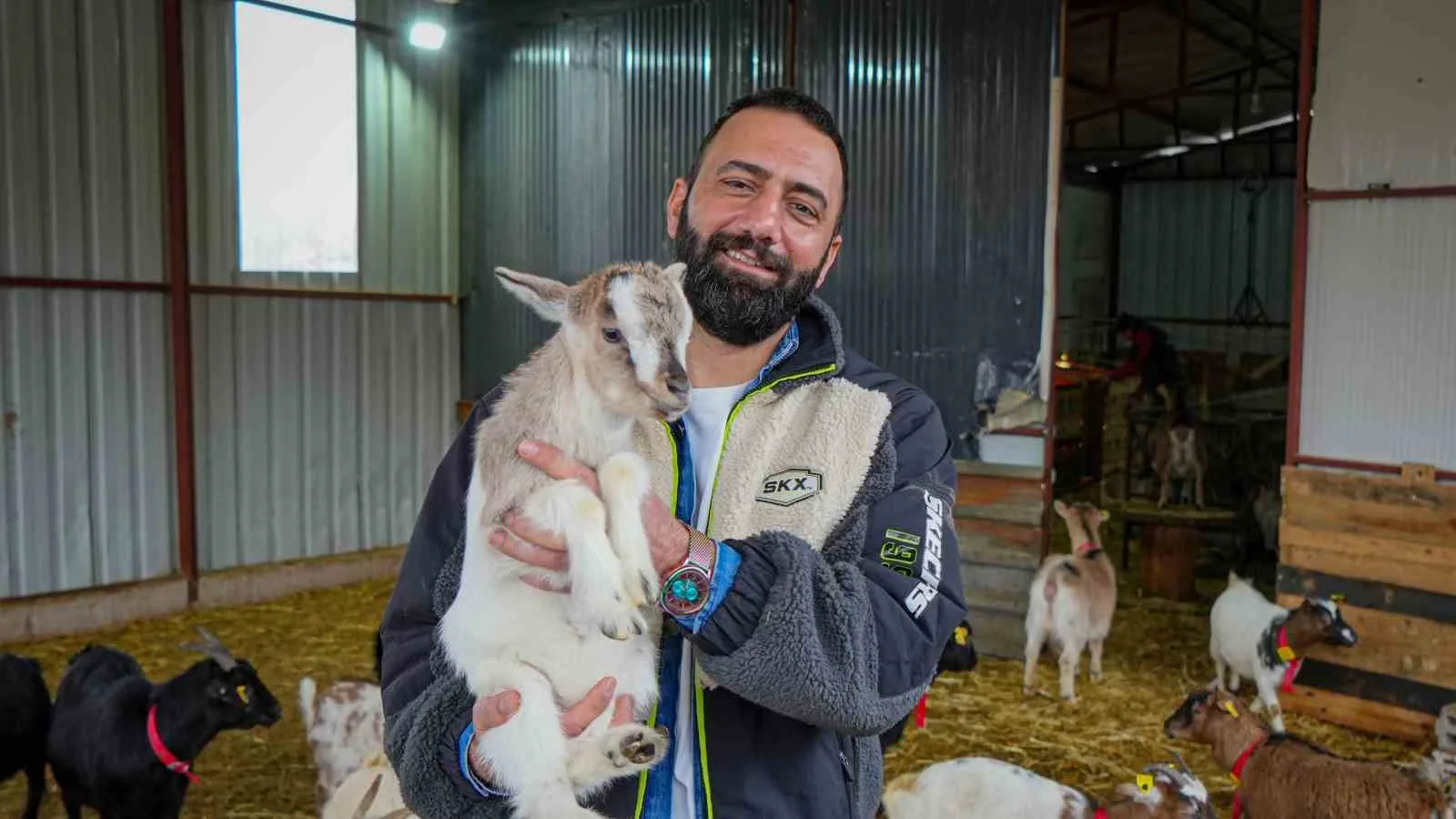 Ankara’da hobi olarak başladığı Nijerya cinsi cüce keçi besiciliğinde 80