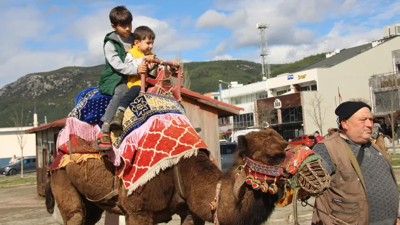 Menteşe’de düzenlenen 8. Hamsi Festivali’nde bu yıl deve ve midilli