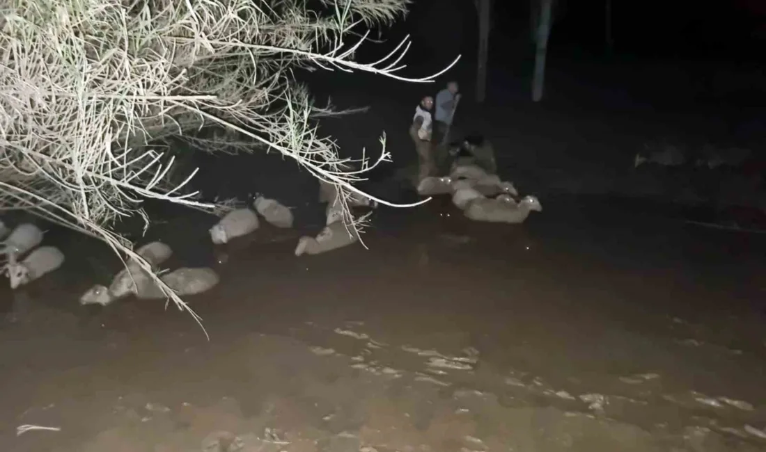 Muğla Büyükşehir Belediyesi ekipleri, Milas ilçesi Güneş Mahallesi'nde çamura saplanan