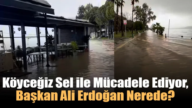 Köyceğiz’de iki gündür etkili olan sağanak yağış sonrası dereler taştı,