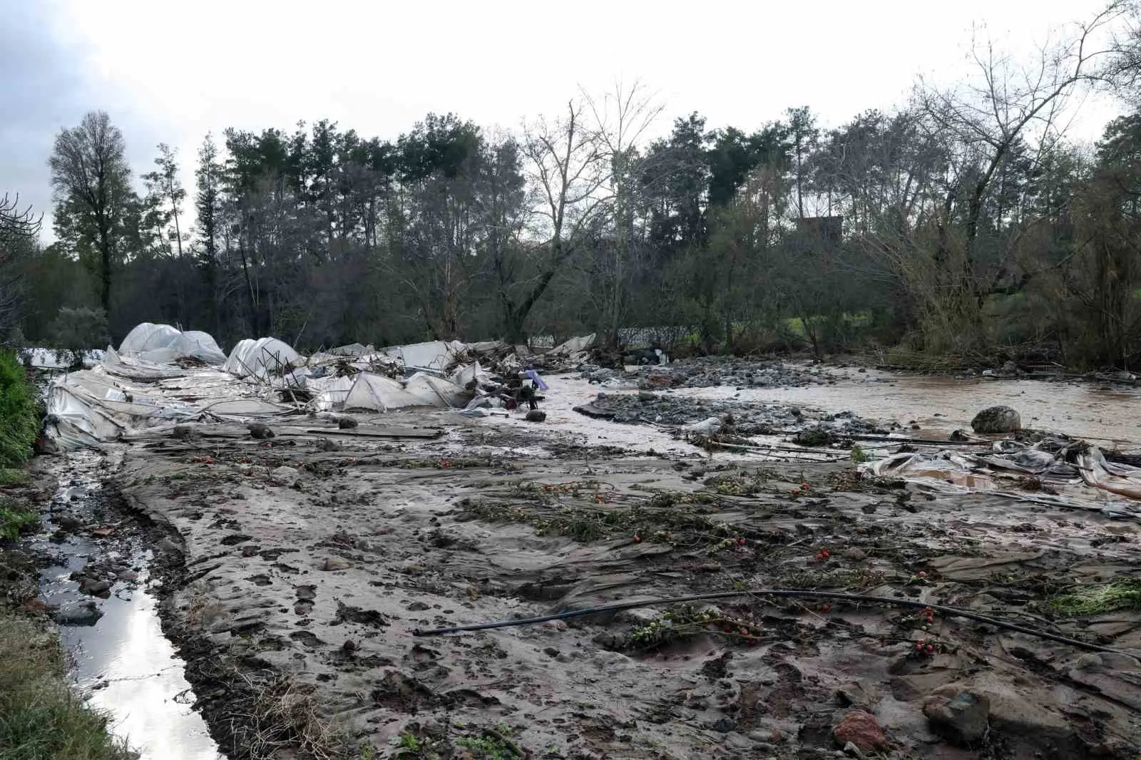 Muğla genelinde 10-13 Şubat tarihleri arasında etkili olan ekstrem yağışlar