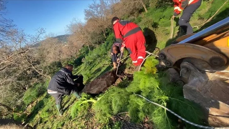 Bodrum'un Akyarlar Mahallesi’nde yaklaşık 10 metre derinliğindeki su kuyusuna düşen