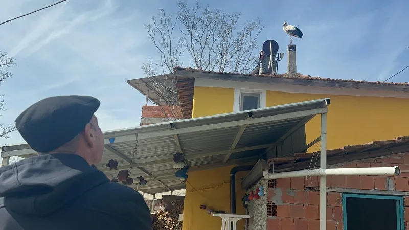 Bursa Eskikaraağaç’ta balıkçı Adem Yılmaz’ın yolunu gözlediği Yaren leyleğin eşi,