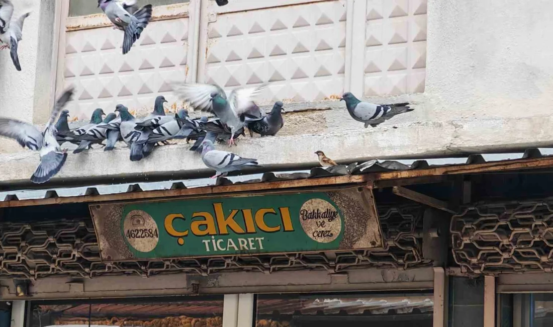 Manisa’nın Demirci ilçesinde 65 yaşındaki esnaf Ahmet Çakıcı, yarım asırdan