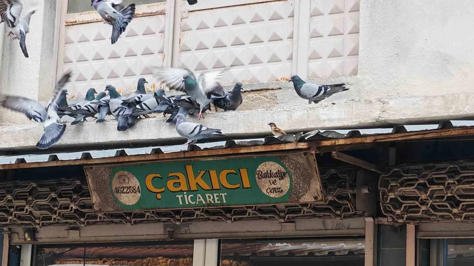 Manisa’nın Demirci ilçesinde 65 yaşındaki esnaf Ahmet Çakıcı, yarım asırdan