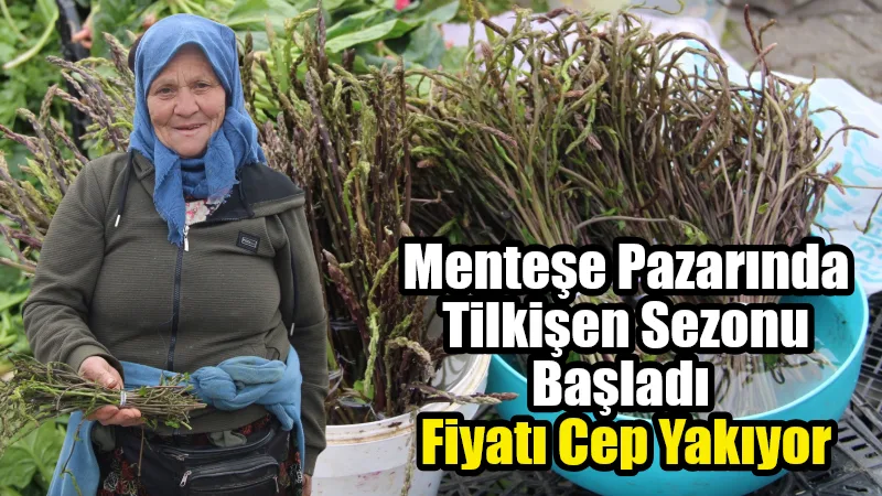 Muğla’nın Menteşe ilçesinde Perşembe Pazarı tezgahlarında tilkişen otu (yabani kuşkonmaz)