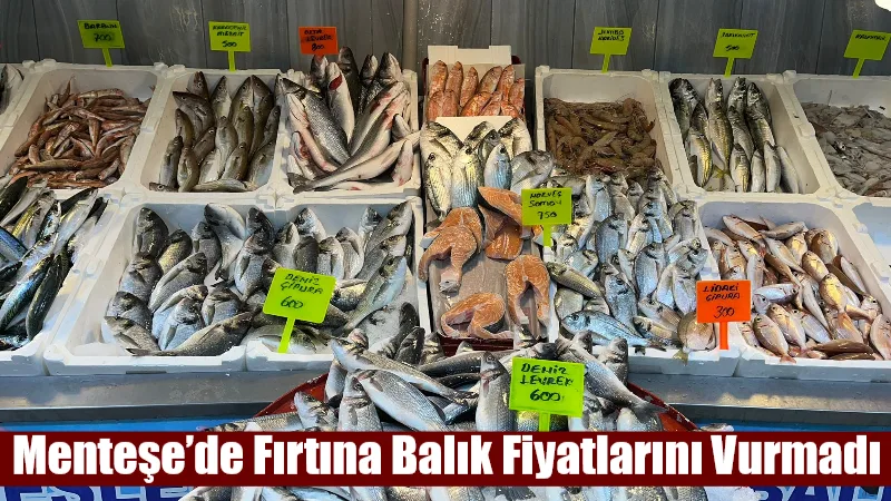 Muğla genelinde günlerdir etkili olan fırtına ve yağışa rağmen balık