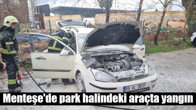 Muğla’nın Menteşe ilçesinde, Orman Bölge Müdürlüğü arkasındaki arazide park halindeyken