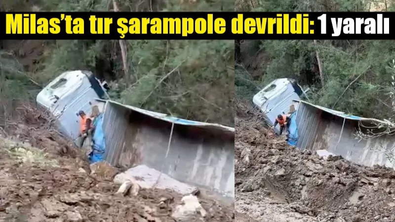 Milas Çamlıbelen mevkiinde kontrolden çıkan tırın ormanlık alana devrilmesi sonucu