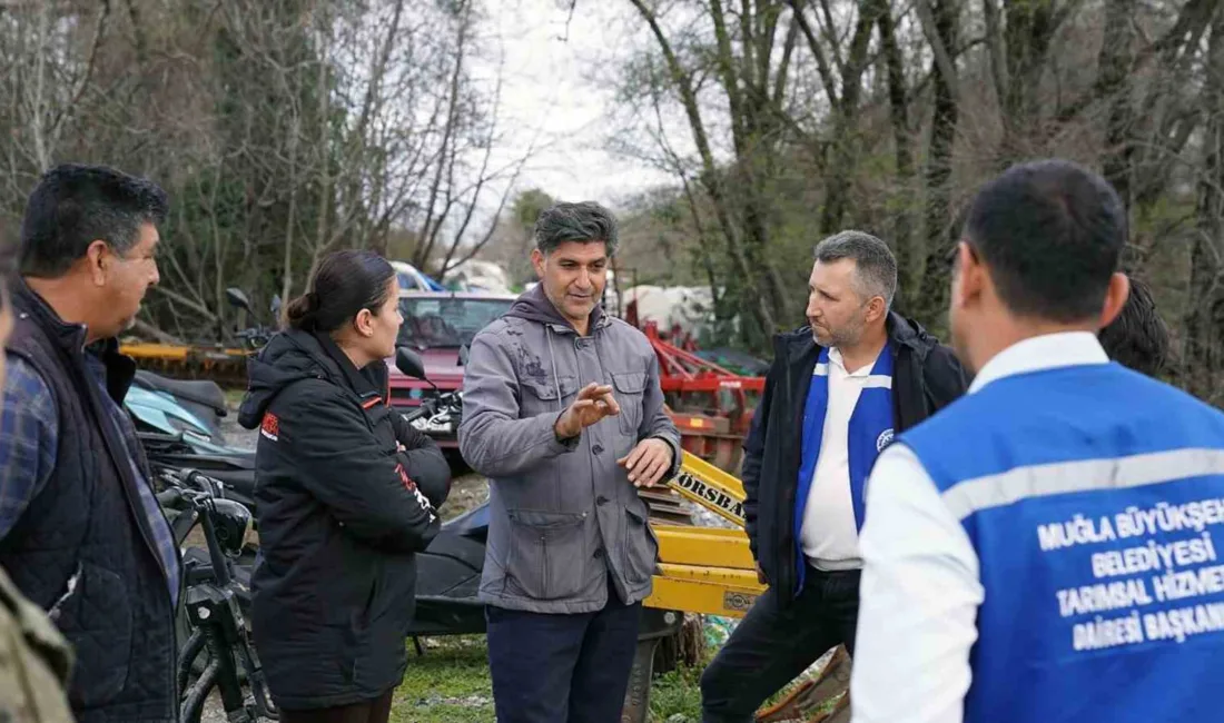 Muğla Büyükşehir Belediyesi, Köyceğiz’de selden zarar gören sera alanlarında hasar