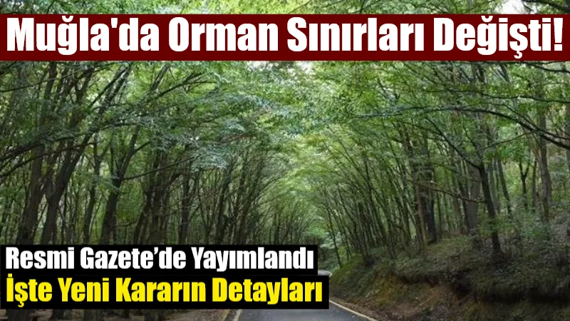 Muğla dahil 21 ilde bazı bölgeler Cumhurbaşkanı kararıyla orman sınırı
