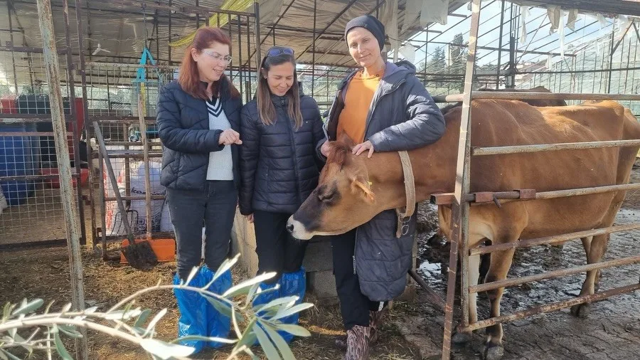 Muğla İl Tarım ve Orman Müdürlüğü’nün başlattığı DERİM Projesi, Köyceğiz,
