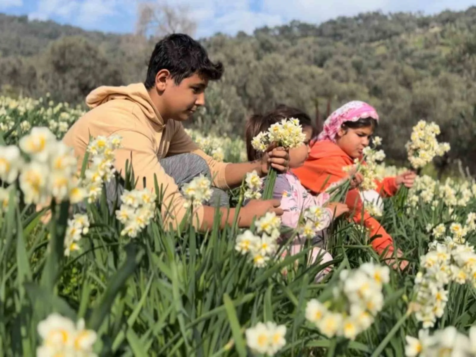 İzmir Bayındır’ın meşhur nergis çiçeği bilim dünyasının radarında! Ege Üniversitesi