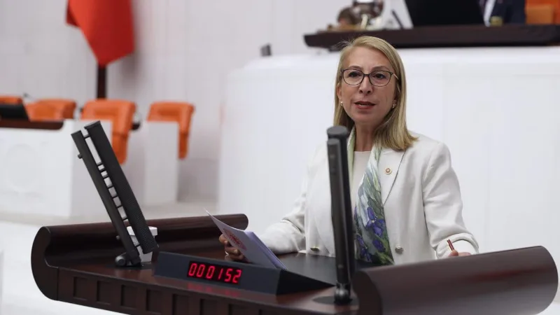 CHP Muğla Milletvekili ve Parti Meclis Üyesi Süreyya Öneş Derici,