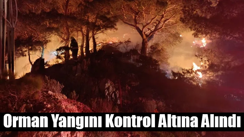 Bodrum’un Dirmil Mahallesi Değirmenler mevkiinde çıkan orman yangını ekiplerin müdahalesiyle