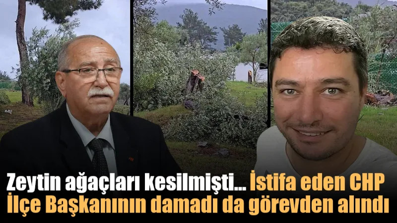Muğla’nın Milas ilçesinde, arazisindeki zeytin ağaçlarını kestiği öne sürülen ve