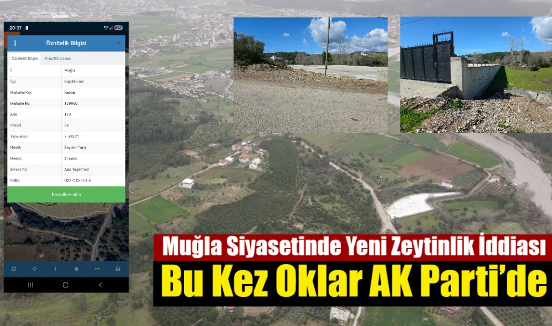 CHP Muğla İl Başkanı Nail Kızıl, Seydikemer’deki zeytinlik arazide beton