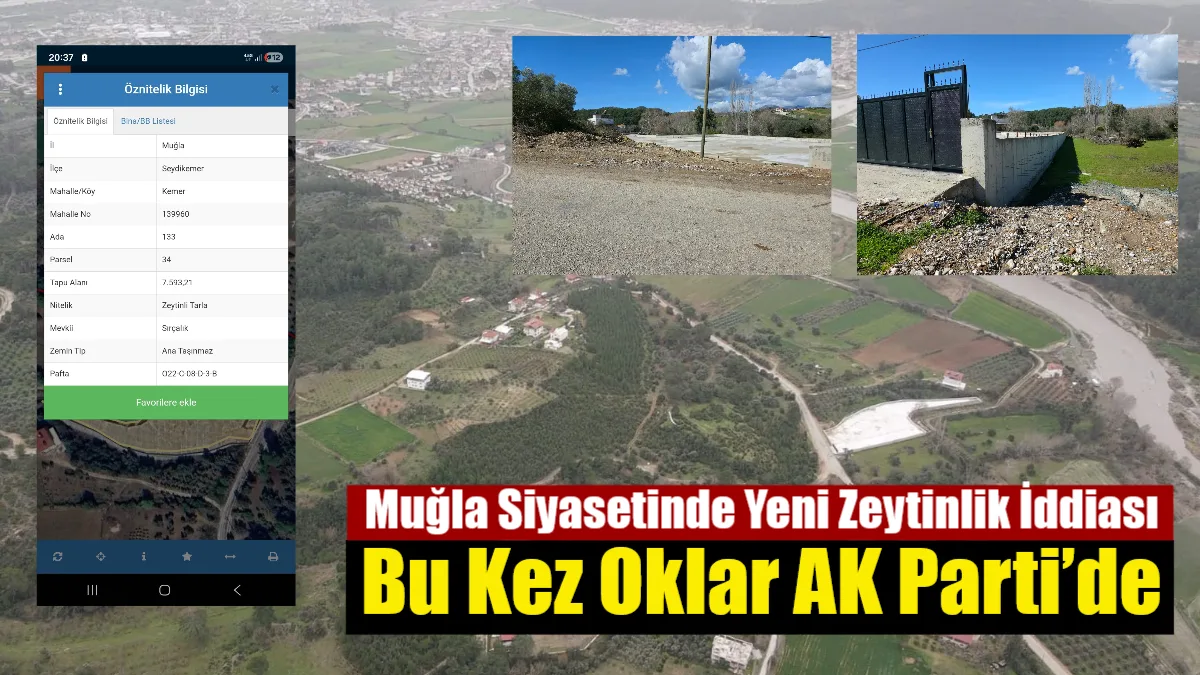 CHP Muğla İl Başkanı Nail Kızıl, Seydikemer’deki zeytinlik arazide beton