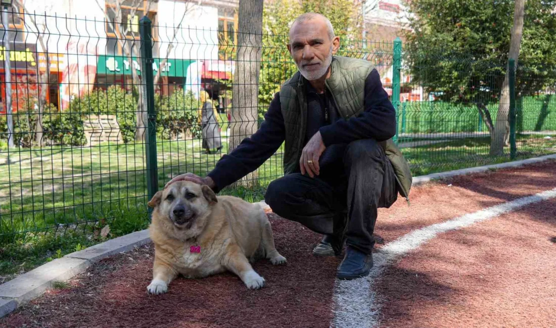 Ankaralı hayvansever Harun Efe, geçirdiği kaza sonrası kilo problemi yaşayan