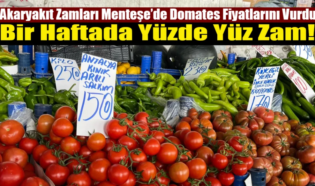 Küresel piyasalardaki dalgalanmalar ve döviz kurundaki hareketlilikle birlikte motorin fiyatlarının