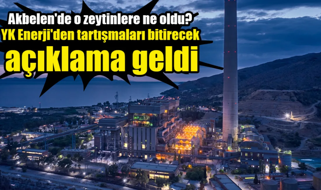 YK Enerji, Milas Akbelen’deki zeytin ağaçlarının sökülmesine yönelik tepkilere yanıt
